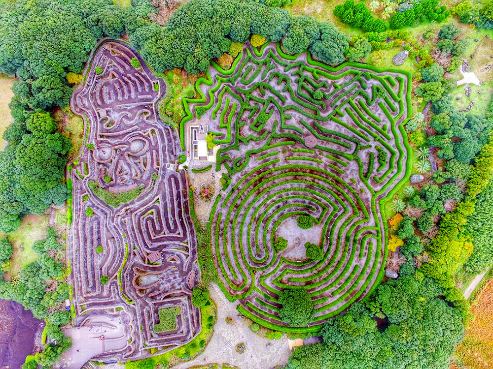 JEJU ISLAND 4N3D