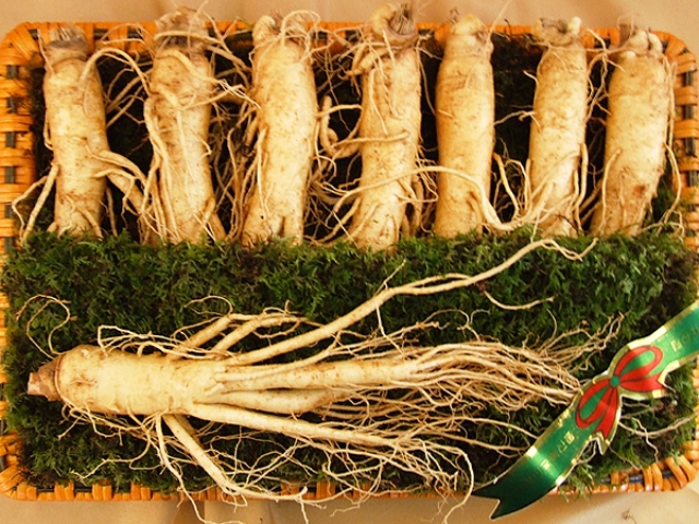 Sâm tươi Hàn Quốc
